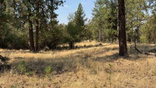 9916 W Newkirk Rd, Spokane, WA 99224