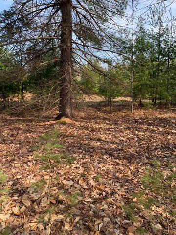 312 SE Blue Heron Drive, Kalkaska, MI 49646