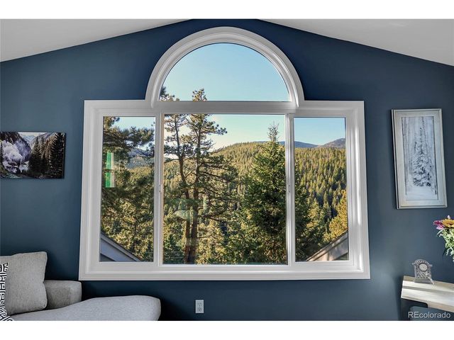 32857 Little Cub Rd, Evergreen, CO 80439