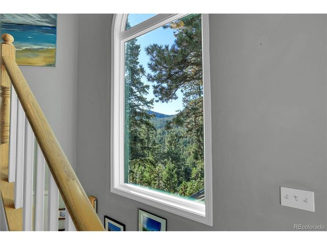 32857 Little Cub Rd, Evergreen, CO 80439