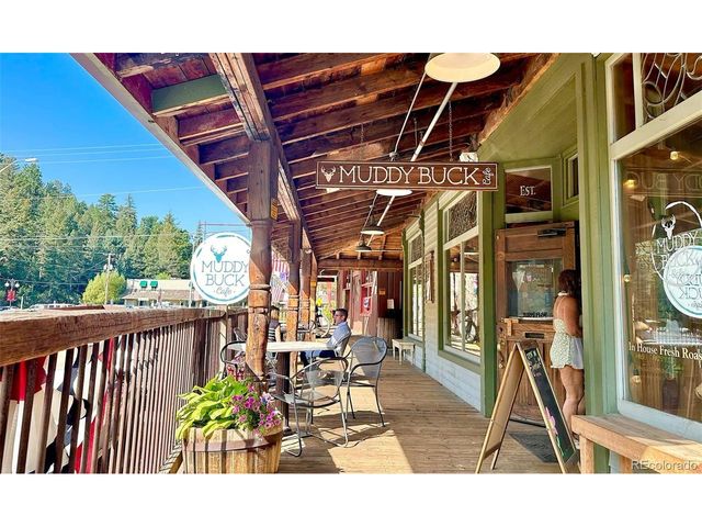 32857 Little Cub Rd, Evergreen, CO 80439
