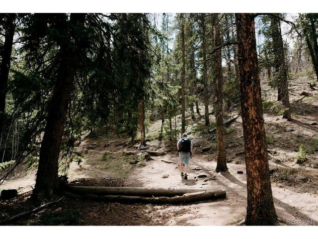 32857 Little Cub Rd, Evergreen, CO 80439
