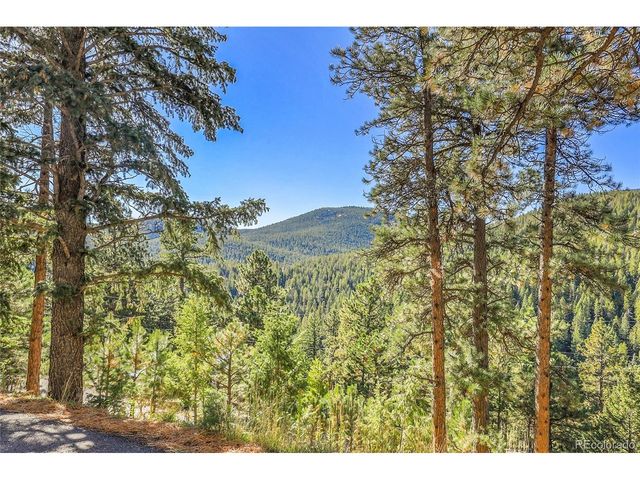 32857 Little Cub Rd, Evergreen, CO 80439