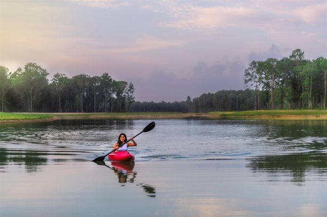 8483 International Falls Drive, Porter, TX 77365