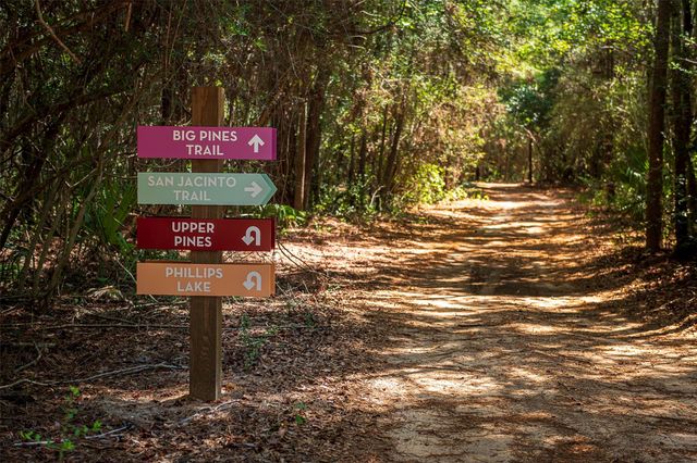 8483 International Falls Drive, Porter, TX 77365