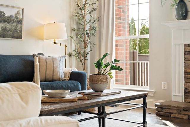 1183 McCoury Ln, Spring Hill, TN 37174