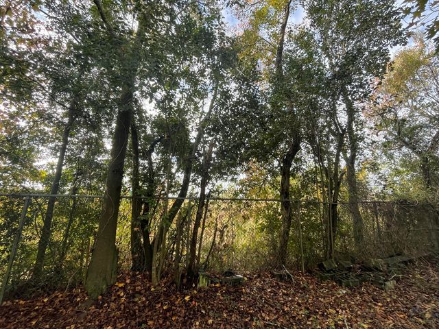 3111 Matipan Avenue B, North Charleston, SC 29405