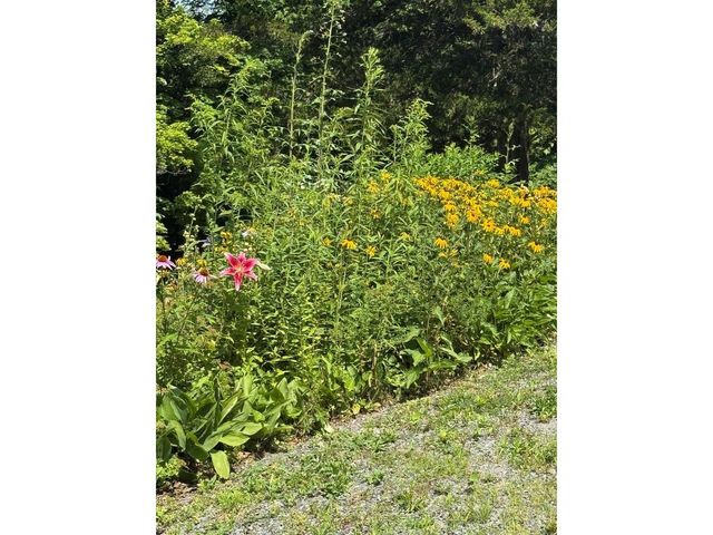 240 Jericho Road, Richmond, VT 05477