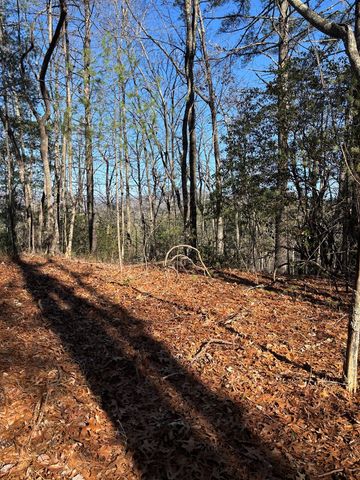 Lot 61 Thundering Hill, Murphy, NC 28906