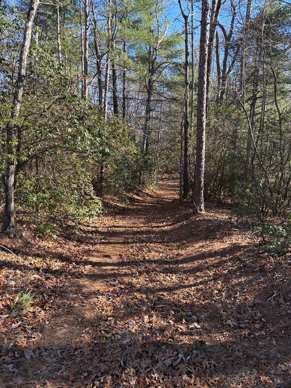 Lot 61 Thundering Hill, Murphy, NC 28906