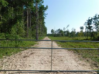 1795 1795 Fm 787, Romayor, TX 77327