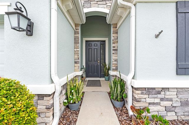 12503 CANDLEBERRY CIRCLE, Tampa, FL 33635