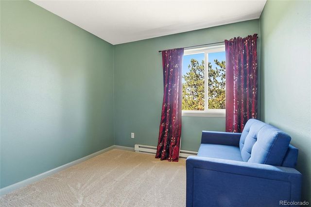 153 Chickadee Lane, Bailey, CO 80421