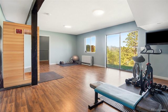 153 Chickadee Lane, Bailey, CO 80421