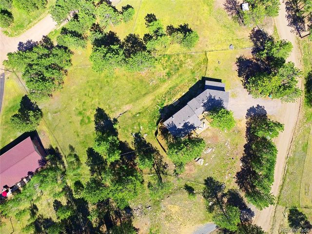 153 Chickadee Lane, Bailey, CO 80421