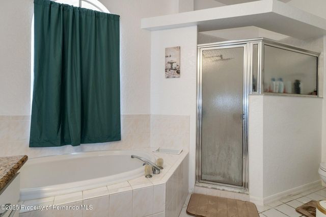 2510 Whitewood Avenue, Spring Hill, FL 34609