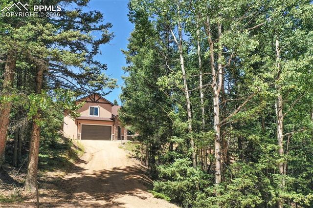 71 Mt Elbert Drive, Florissant, CO 80816