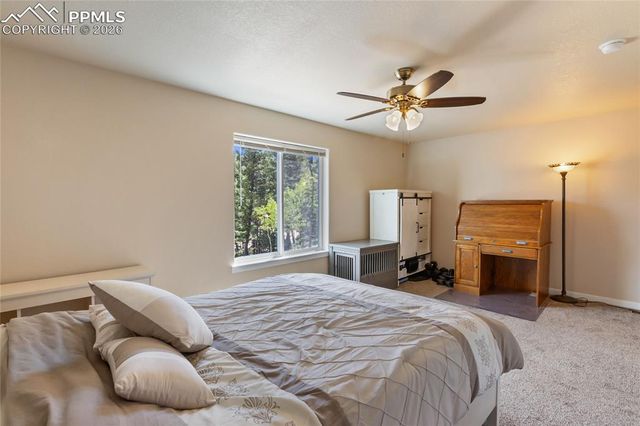 71 Mt Elbert Drive, Florissant, CO 80816