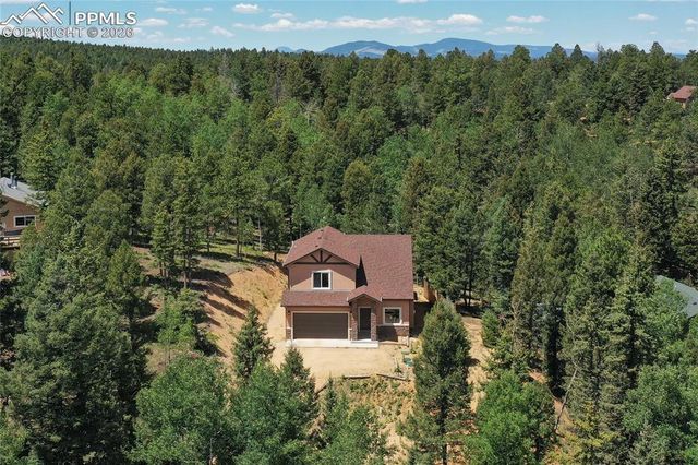 71 Mt Elbert Drive, Florissant, CO 80816