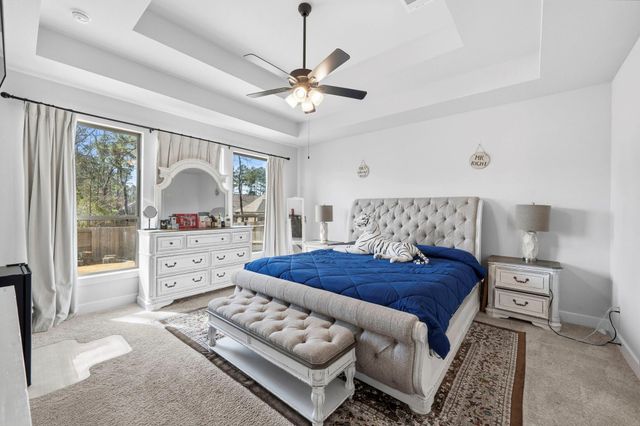 511 Carina Gaze Drive, Conroe, TX 77318