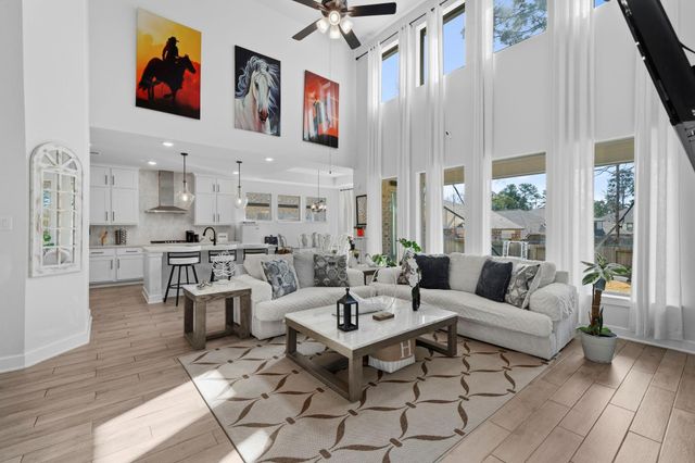 511 Carina Gaze Drive, Conroe, TX 77318