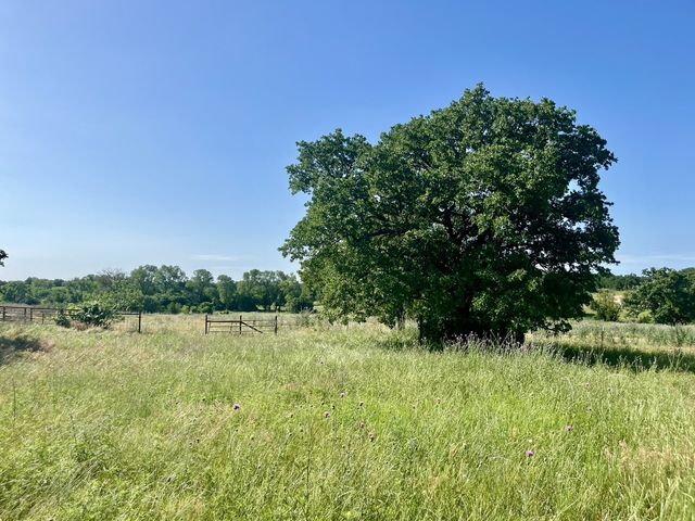Lot 55 & 56 KILKENNY Road, Poolville, TX 76487