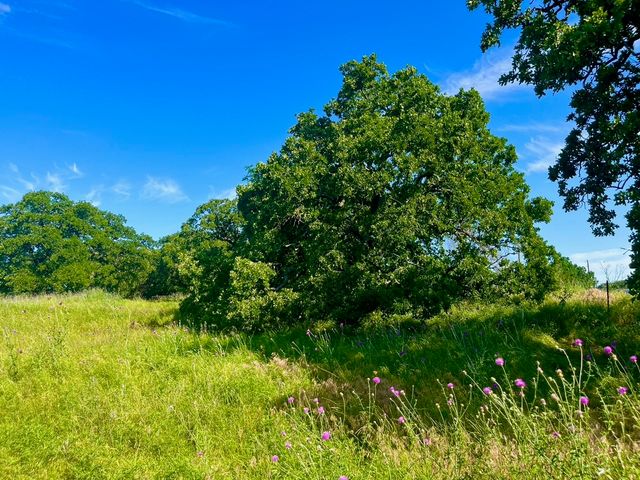 Lot 55 & 56 KILKENNY Road, Poolville, TX 76487