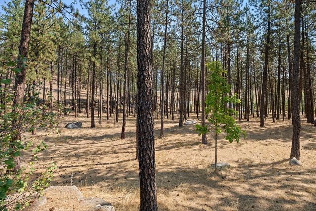 12620 N Nine Mile Rd, Nine Mile Falls, WA 99026