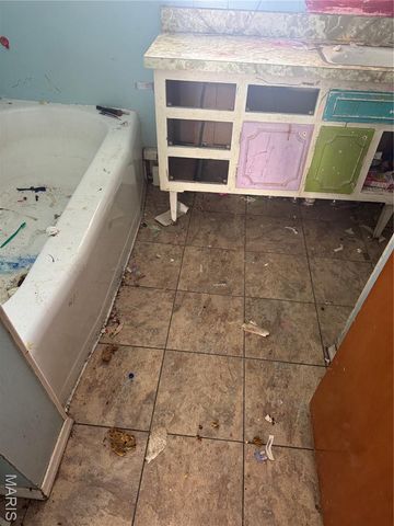 1010 E Olive Street, Staunton, IL 62088