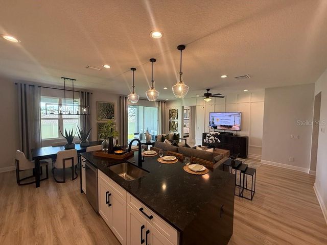 1656 HAMLIN RIDGE ROAD, Minneola, FL 34715