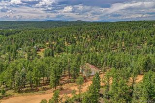 449 Woody Creek Road, Florissant, CO 80816