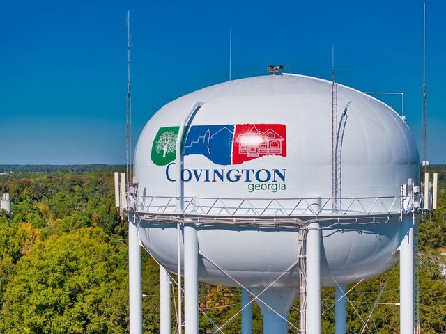 1297 PJ East Road, Covington, GA 30014