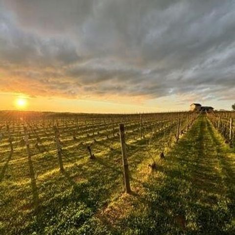 329 Elm Street, Watervliet, MI 49098