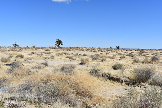 20th St E And Vic Ave G10, Lancaster, CA 93535