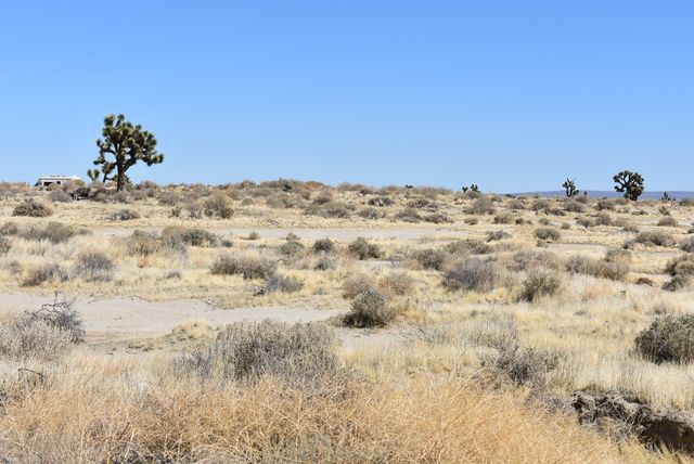 20th St E And Vic Ave G10, Lancaster, CA 93535