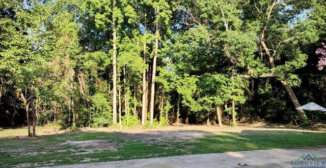 187 Settlers, Longview, TX 75605