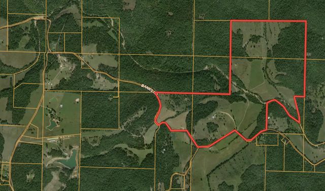 804 Banks Road, Hardy, AR 72542