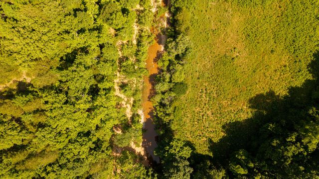 804 Banks Road, Hardy, AR 72542