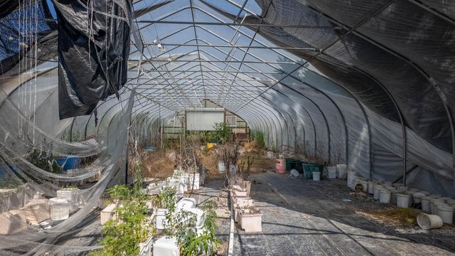 804 Banks Road, Hardy, AR 72542