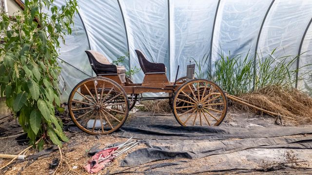 804 Banks Road, Hardy, AR 72542