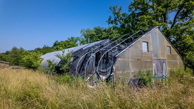 804 Banks Road, Hardy, AR 72542