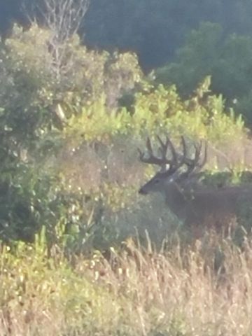 804 Banks Road, Hardy, AR 72542