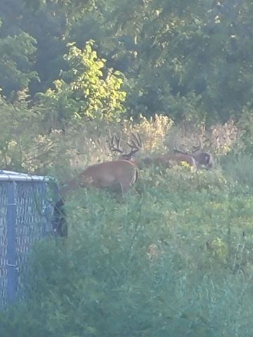 804 Banks Road, Hardy, AR 72542