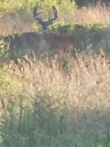 804 Banks Road, Hardy, AR 72542