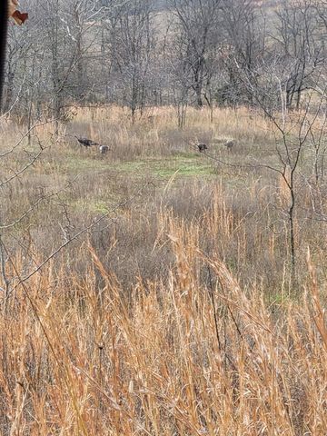 804 Banks Road, Hardy, AR 72542