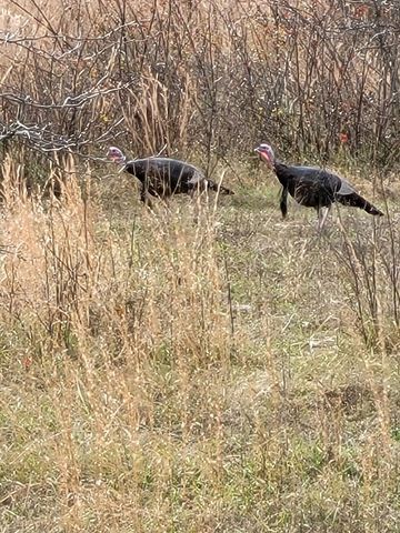 804 Banks Road, Hardy, AR 72542