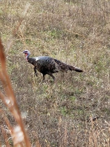 804 Banks Road, Hardy, AR 72542