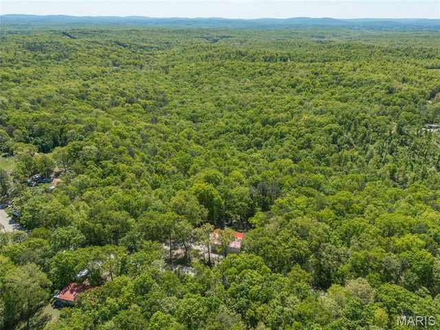 11117 Delbridge Road, Potosi, MO 63664