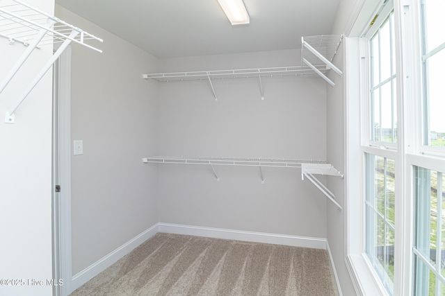 102 Talton Farm Drive, Pikeville, NC 27863