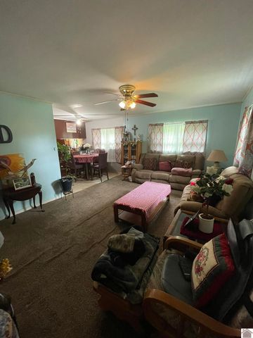 4924 State Route 121 S, Mayfield, KY 42066